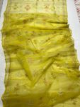 IMG-20221104-WA1069